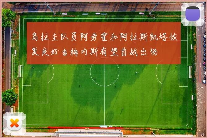 乌拉圭队员阿劳霍和阿拉斯凯塔恢复良好吉梅内斯有望首战出场