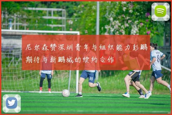 尼尔森赞深圳青年与组织能力彭鹏期待与新鹏城的续约合作