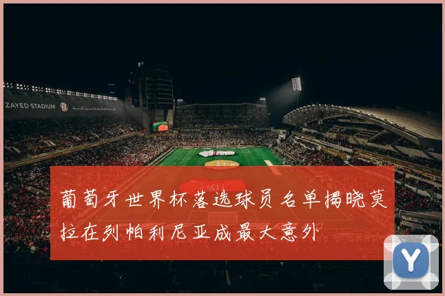 葡萄牙世界杯落选球员名单揭晓莫拉在列帕利尼亚成最大意外